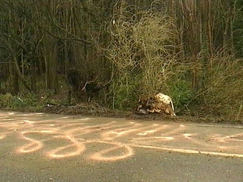 Co Down - Man killed in single-vehicle accident