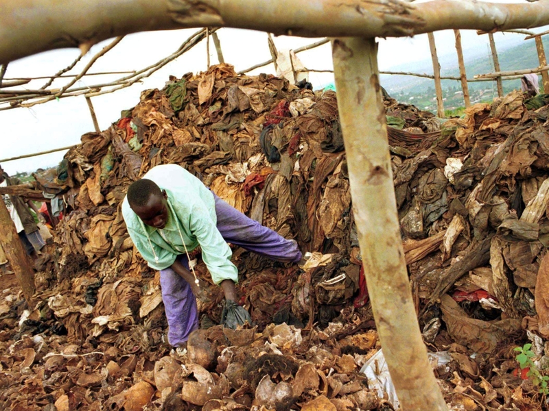 Rwanda - 800,000 murdered