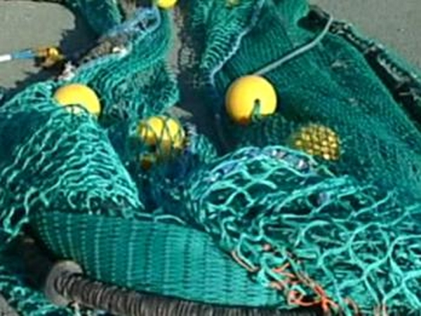 Fishing - Regime to prevent illegal catches