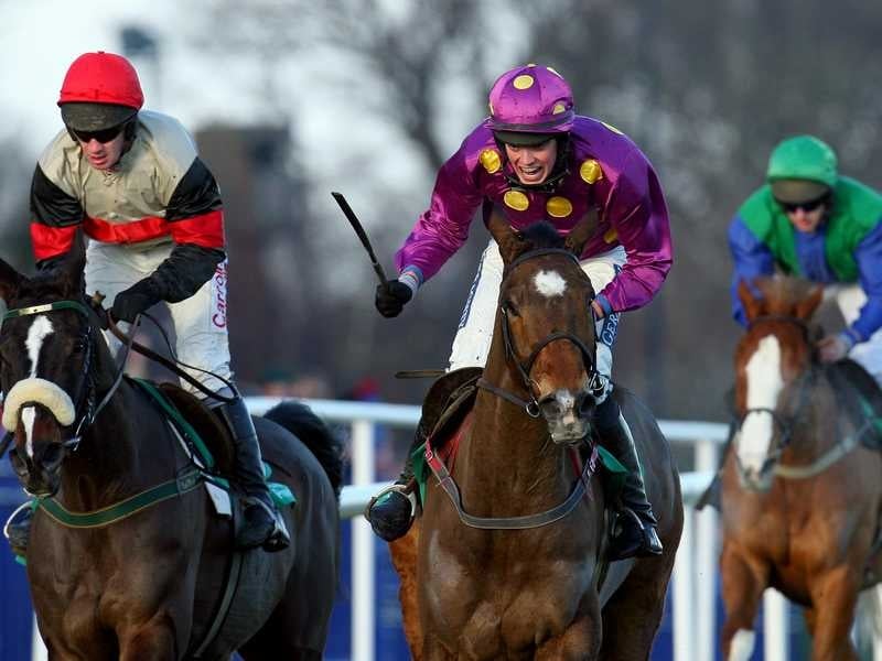 Matt O'Connor, in purple aboard Colm Murphy's Big Zeb