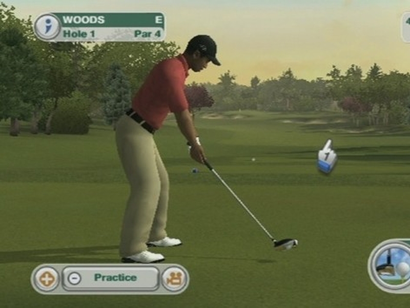 Tiger Woods 2010