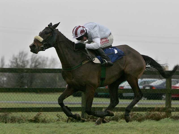 Jockey Paul Carberry played a big part in the decision not to overface Pandorama too early in his career