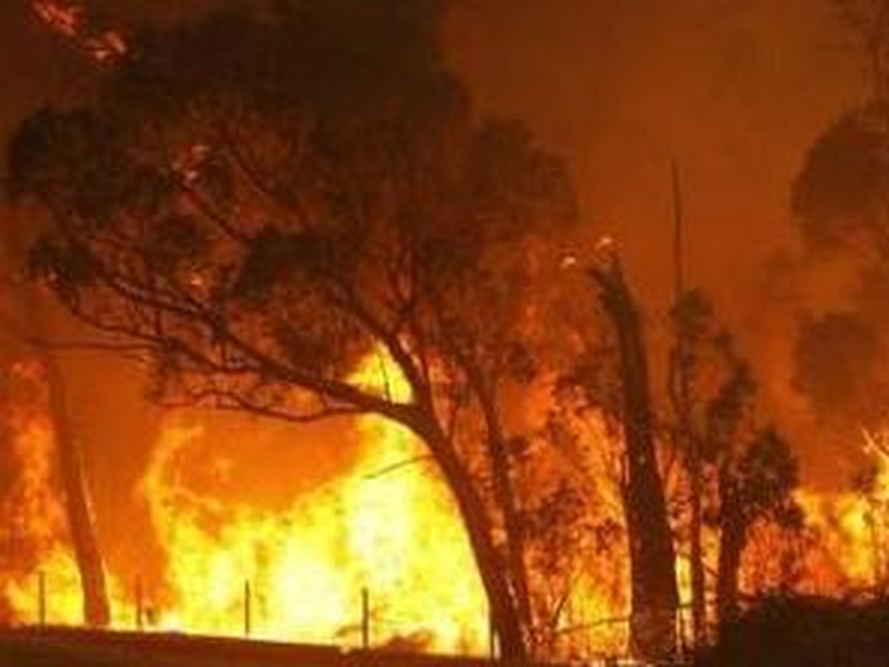 Australia - Death toll in bushfires could rise