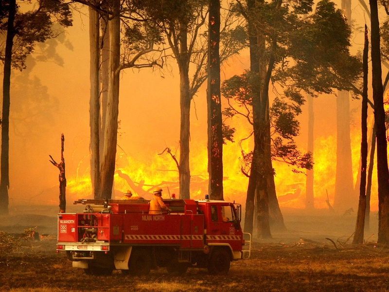 Australia - Fires are deadliest in country's history