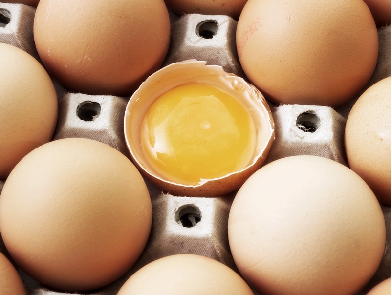 Egg Attack - Only innocent eggs were harmed in the attack on that building