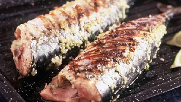 Harissa Mackerel with carrot, mint and spring onio