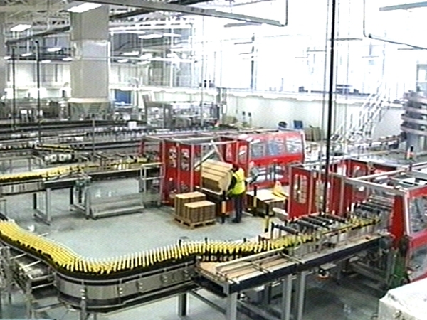 Bulmers - 50 management jobs and 40 operator jobs will go