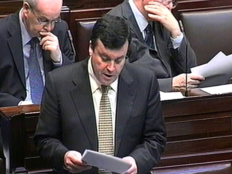 Brian Lenihan - Admitted economic measures would hurt