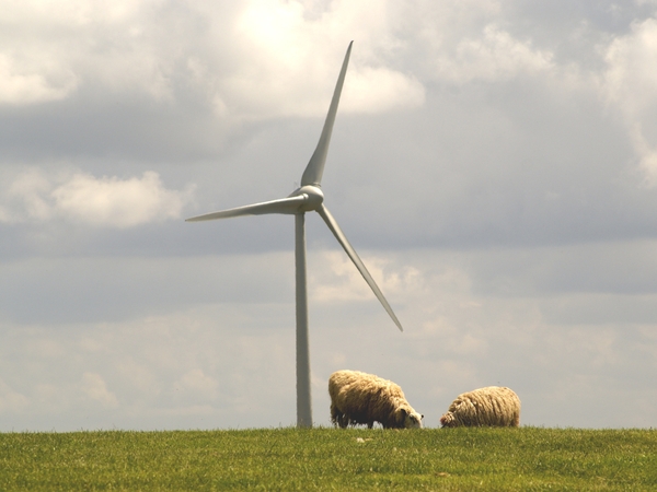 Wind farm - €200m investment in renewable energy project