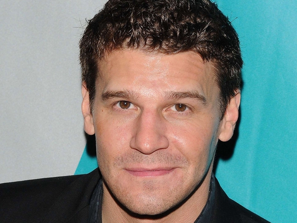 Boreanaz - Getting new co-star