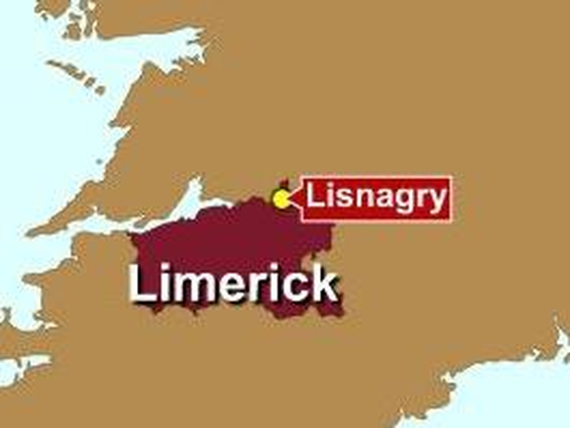 Limerick - Garda appeal over crash