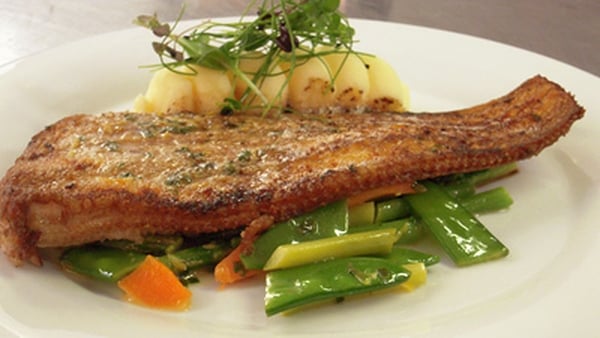 Black Sole