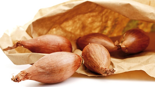 Slow Baked Banana Shallots with Wild Mushrooms and