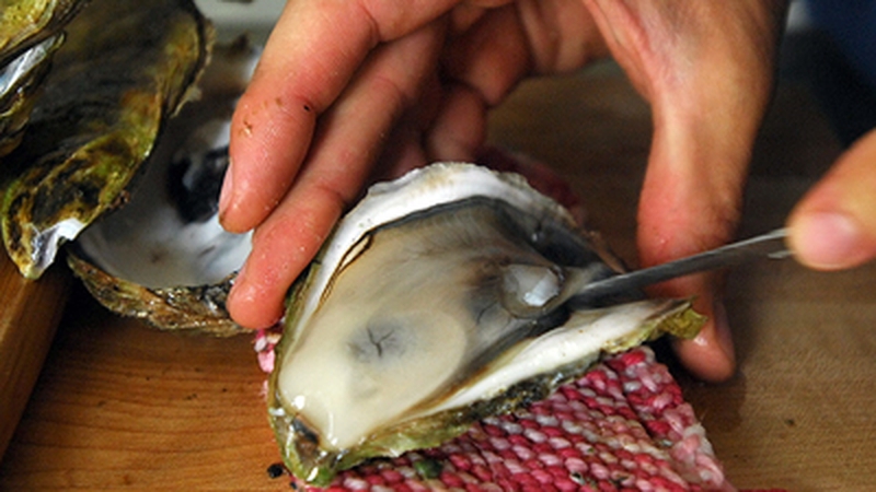 Warm Oysters and Scallops in Broth with Herbed Whipped Cream and Caviar