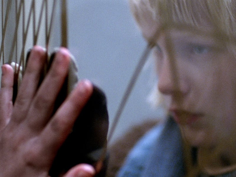 Brilliantly mixes scares and tenderness