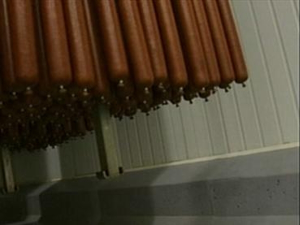 Dawn - Boning &amp; slaughtering operation