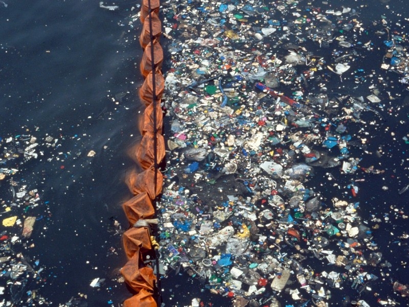 Waste - Ruling by High Court