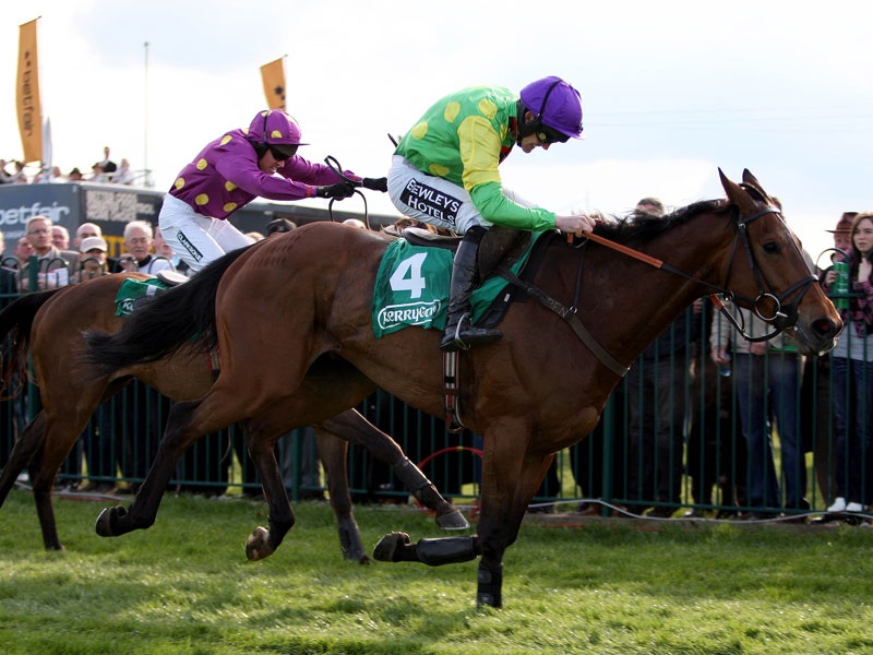 Six horses lost their lives at Killarney on Sunday on a black day for Irish racing