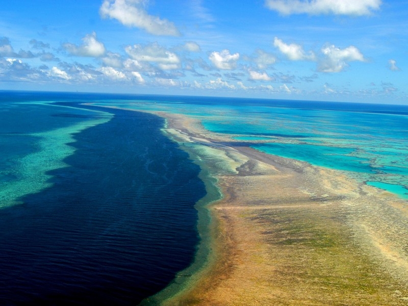 Great Barrier Reef - Island job