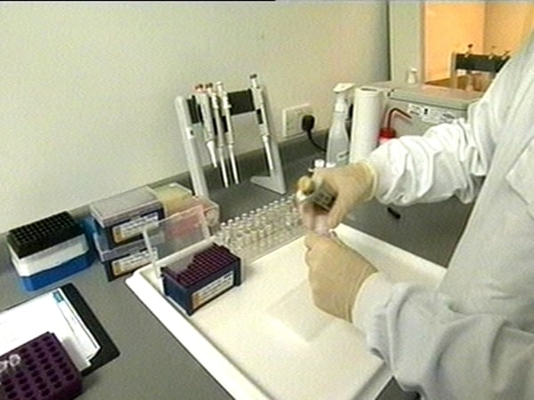 Swine flu - Health measures tightened