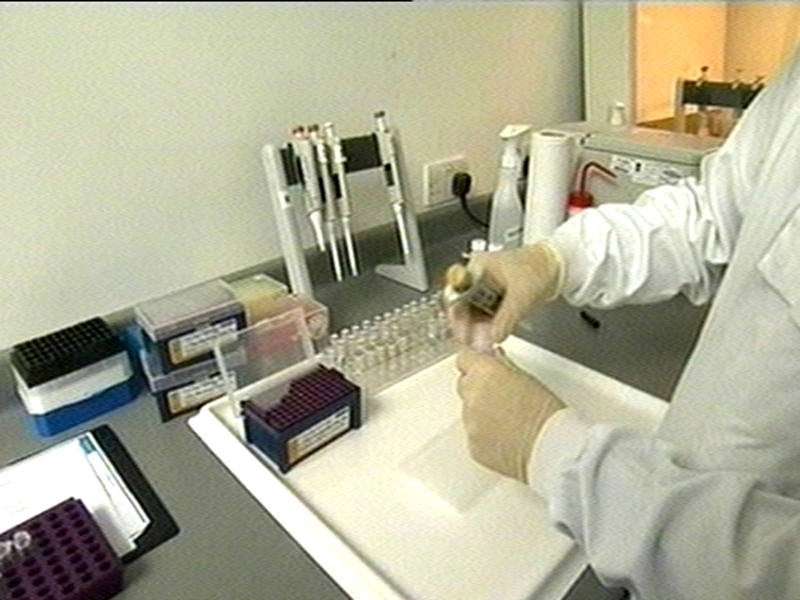 Swine flu - Health measures tightened