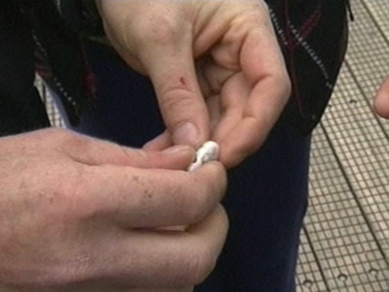 Drugs - 100 homes searched