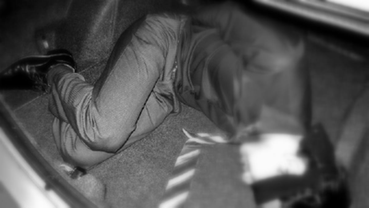 Kidnapped - The Herrema Diaries