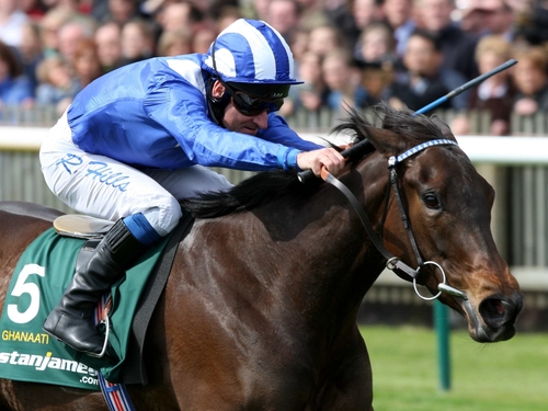 Ghanaati finished a respectable third in the Sussex Stakes