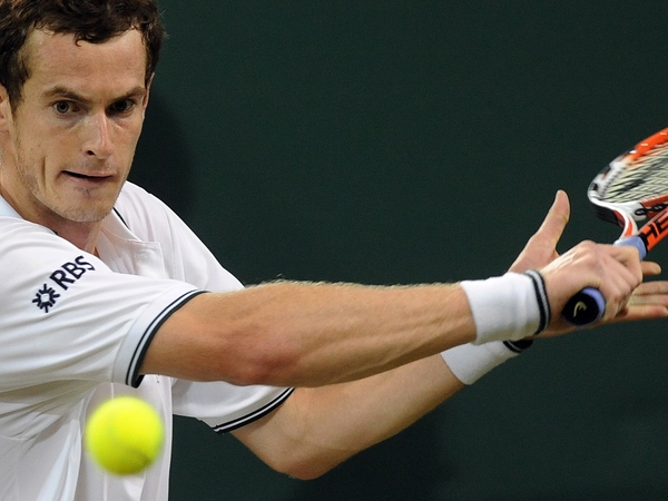 Andy Murray easily won the Valencia Open final