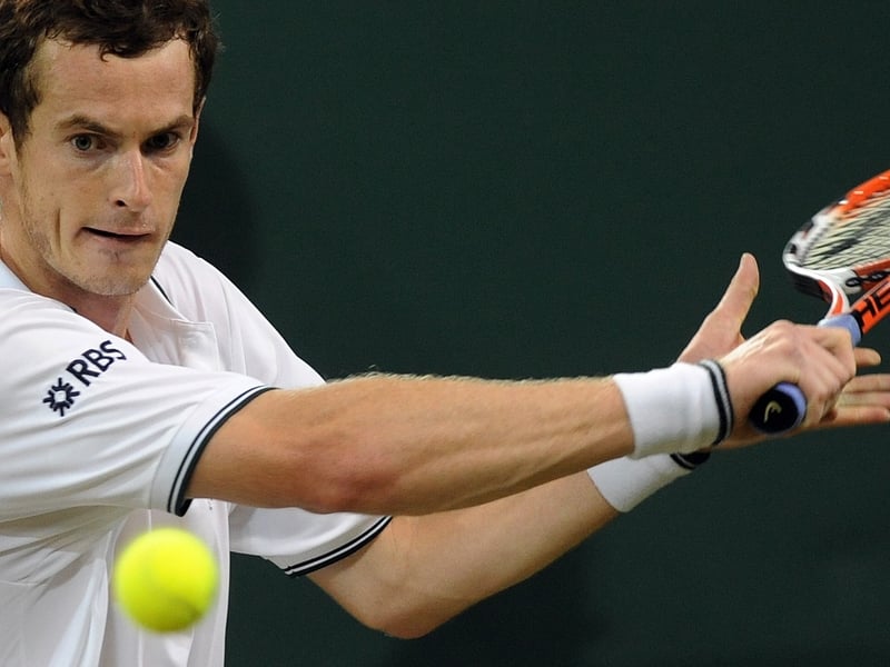 Andy Murray easily won the Valencia Open final