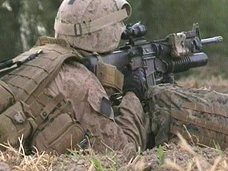 Afghanistan - 184 UK soldiers killed