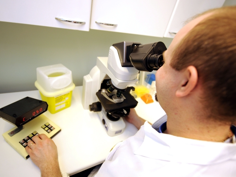 Research - Claim of sperm creation