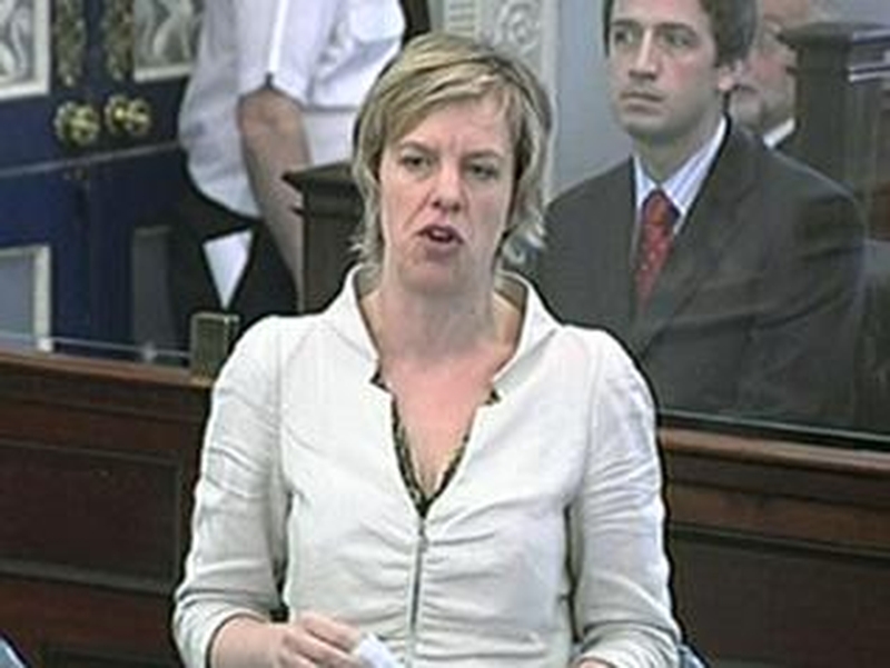 Ivana Bacik - Conducted research