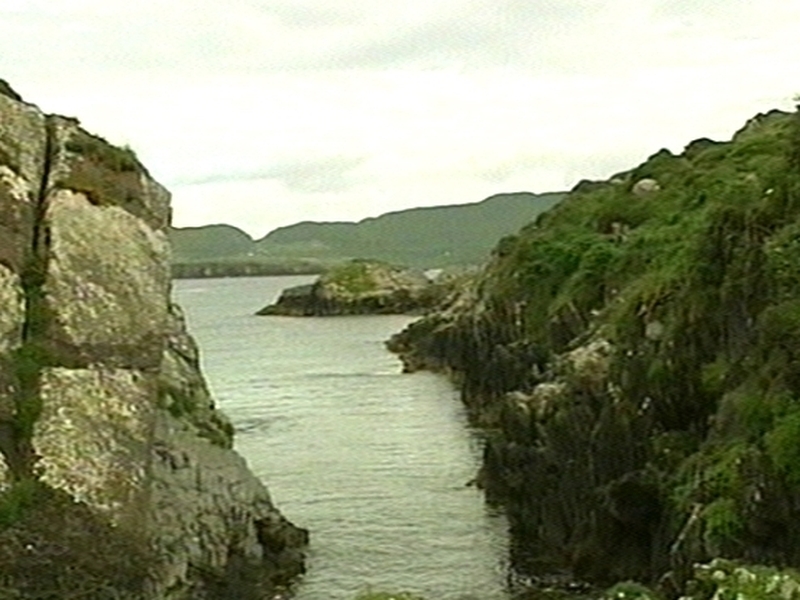 Cork - Father and son were on a fishing trip