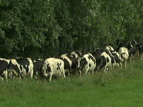 Farming - Rural poverty on the rise