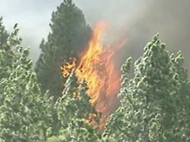 La Palma - Fire-fighters battle blaze