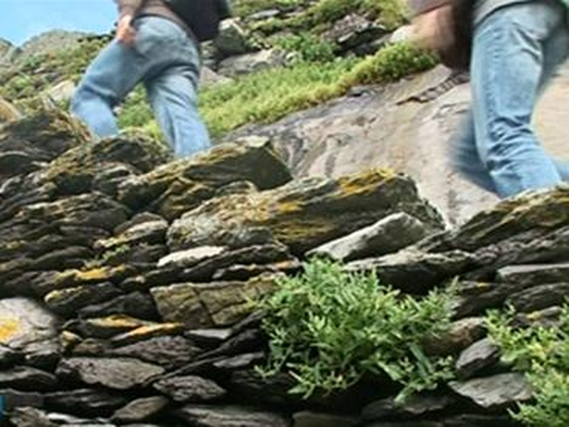 Skellig Michael - Dangers to be highlighted to visitors