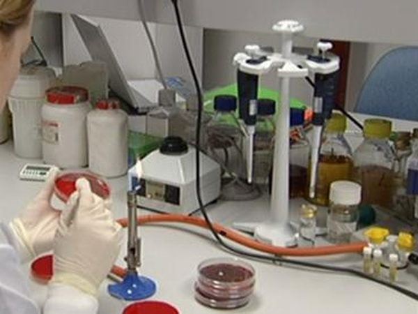 Swine flu - School concerns