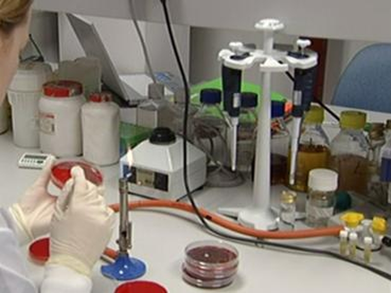 Swine flu - School concerns