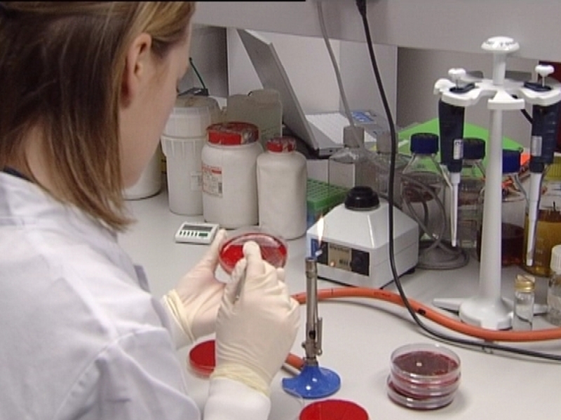 Elan clinical trials - No direct relationship with deaths