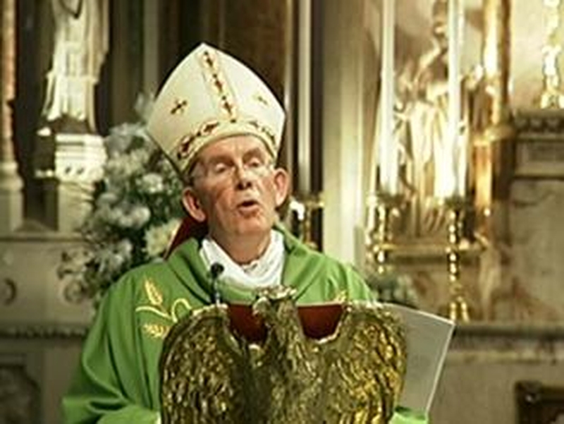 Cardinal Sean Brady - Critical of legislation