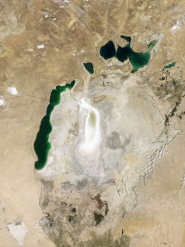 Satellite image of the Aral Sea in August 2009