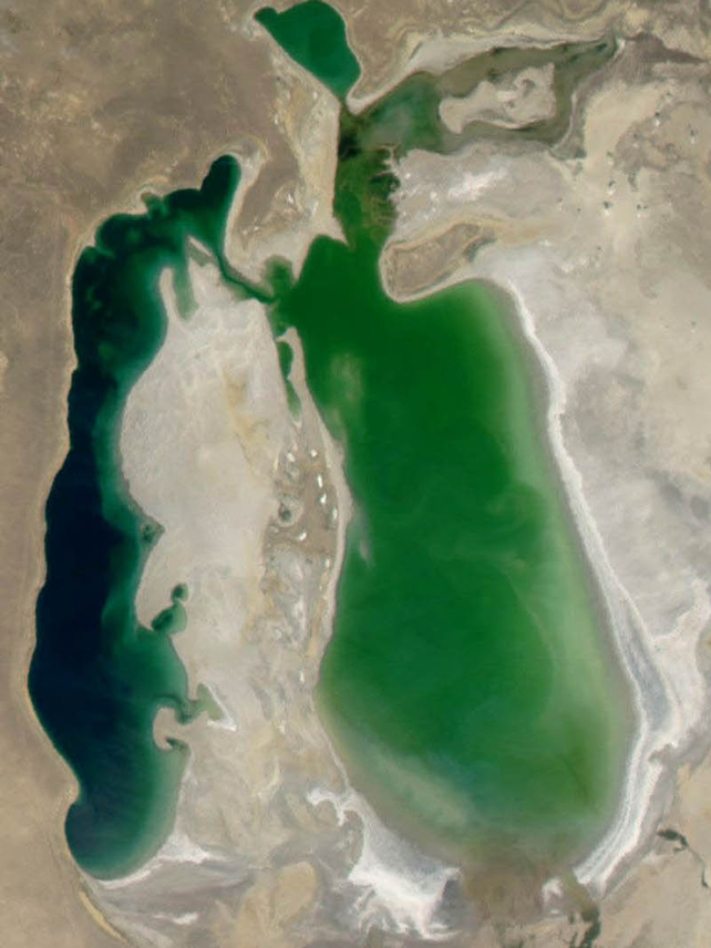 Satellite image of the Aral Sea in August 2003
