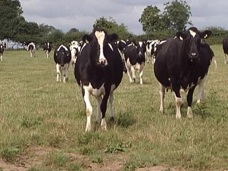 Farming - ICMSA calls for move on credit crisis