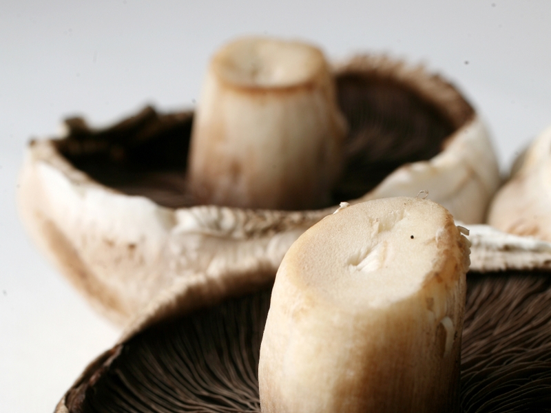 Mushrooms - Boost to Co Carlow firm