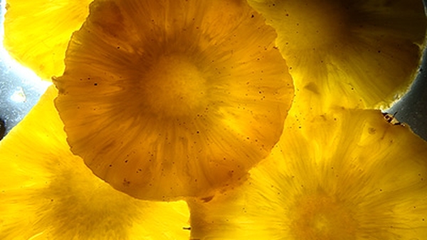 Sweet Wine and Fruit Jelly
