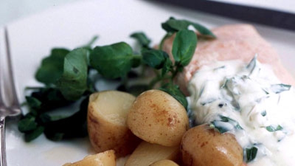 Salmon in a Cheese and White Wine Sauce, with Chee
