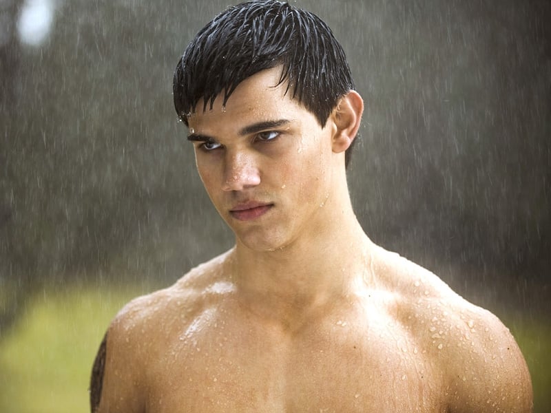 The Twilight Saga: New Moon - Opens on 20 November