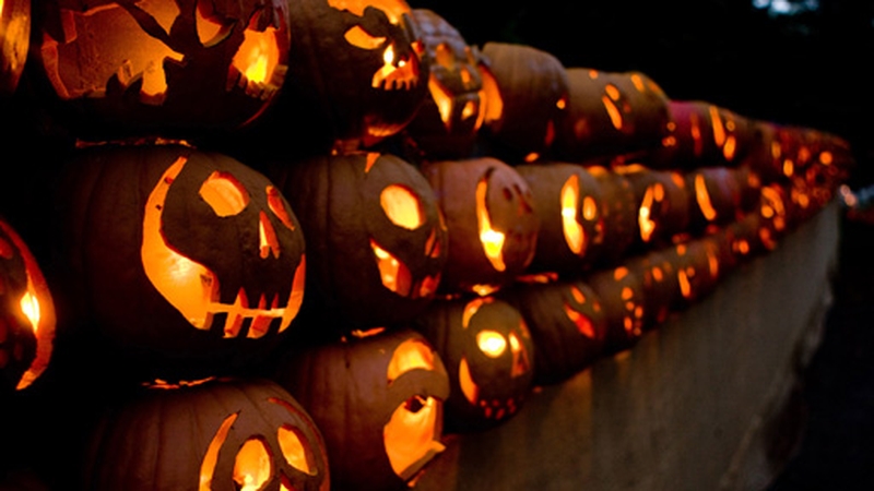 And you think aul' pumpkins are scary?