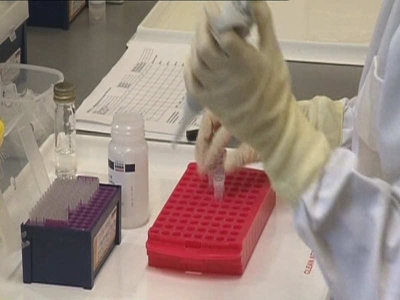 Swine Flu - No evidence vaccine is not safe for pregnant women